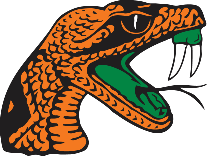 Florida A&M Rattlers 2001-Pres Secondary Logo diy DTF decal sticker